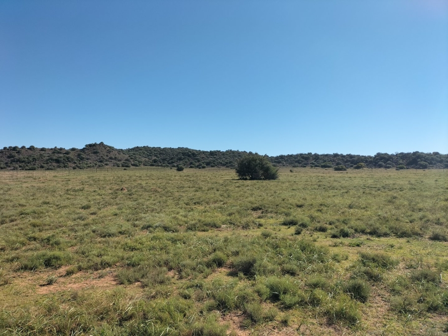 4 Bedroom Property for Sale in Bloemfontein Rural Free State